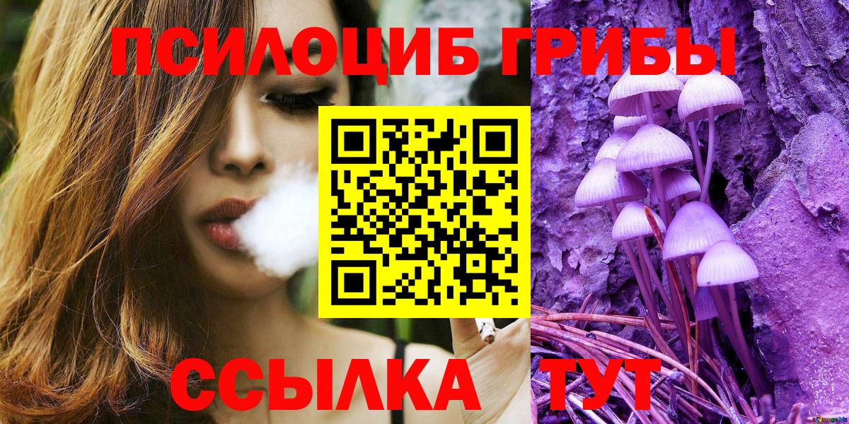 купить закладку  Галлюциногенные грибы MAGIC MUSHROOMS  Вход с VPN  Зерноград 